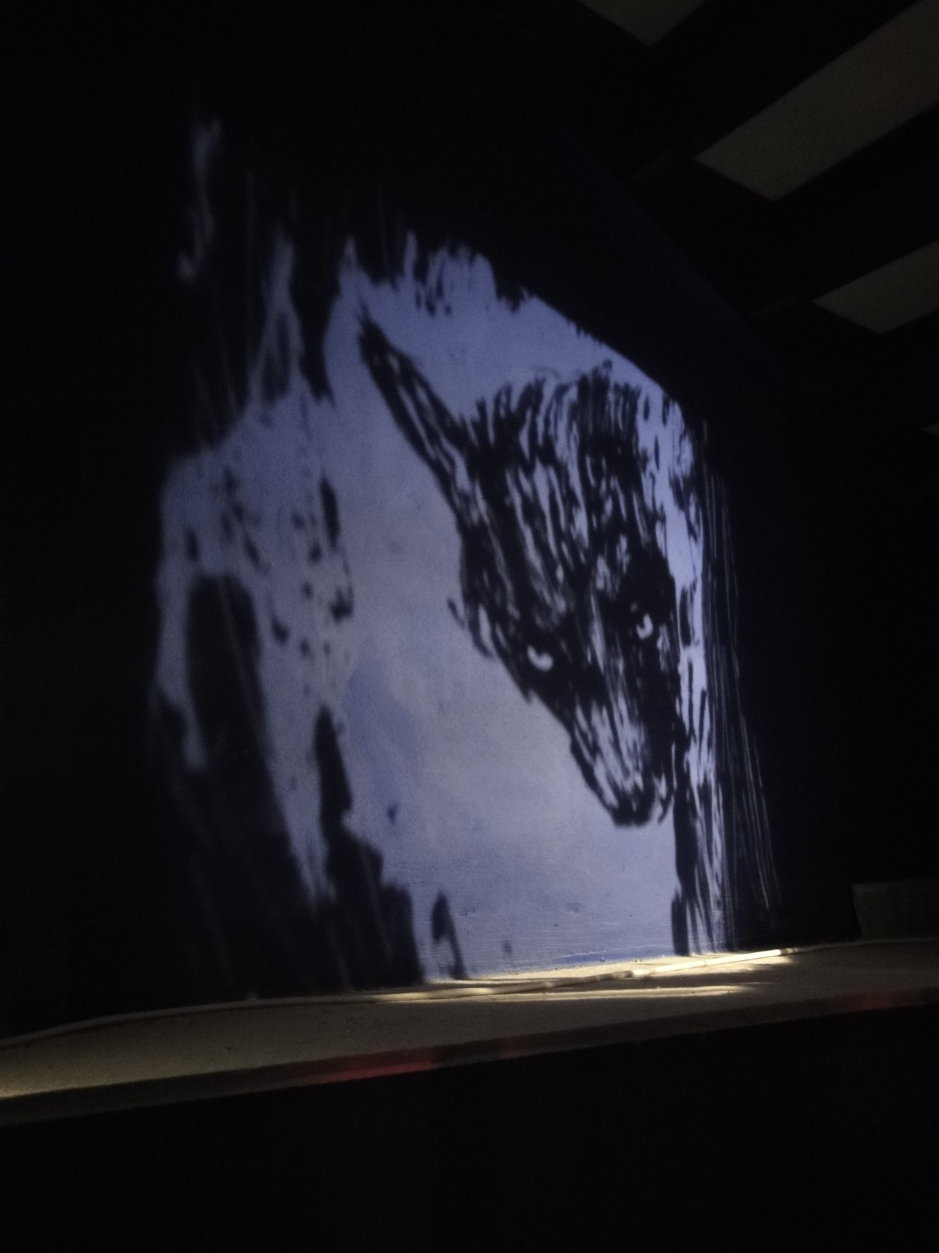 Boîtes lumineuses projetant des ombres de contes du loup au Musée d’Entracque