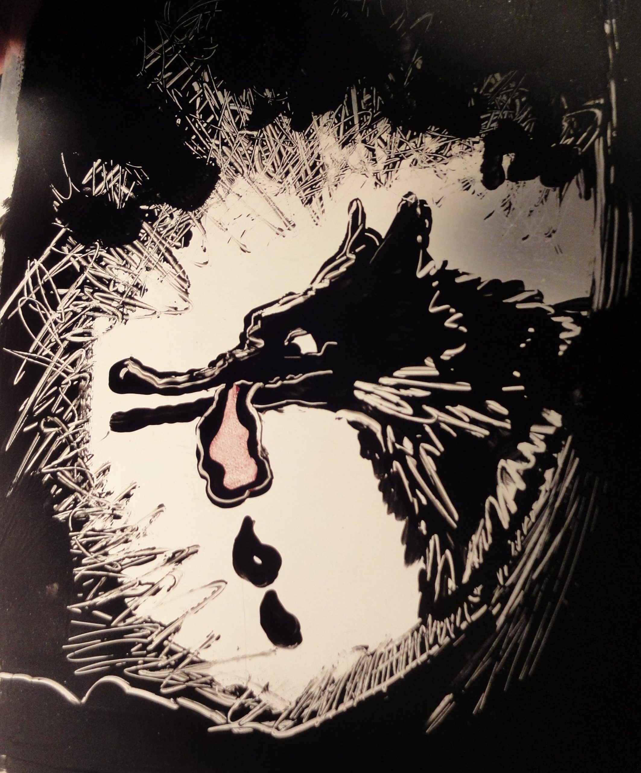 Boîtes lumineuses projetant des ombres de contes du loup au Musée d’Entracque