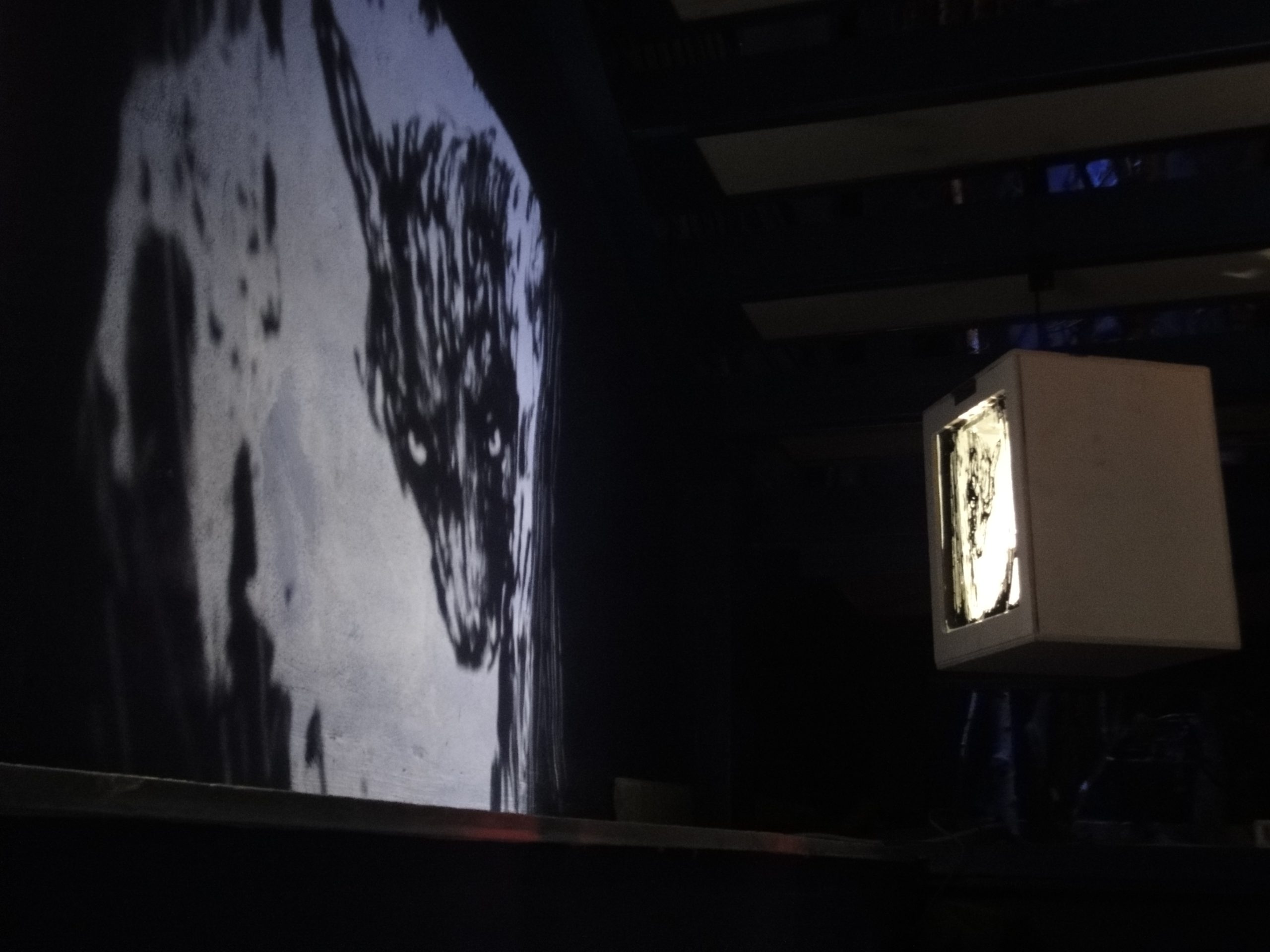 Boîtes lumineuses projetant des ombres de contes du loup au Musée d’Entracque