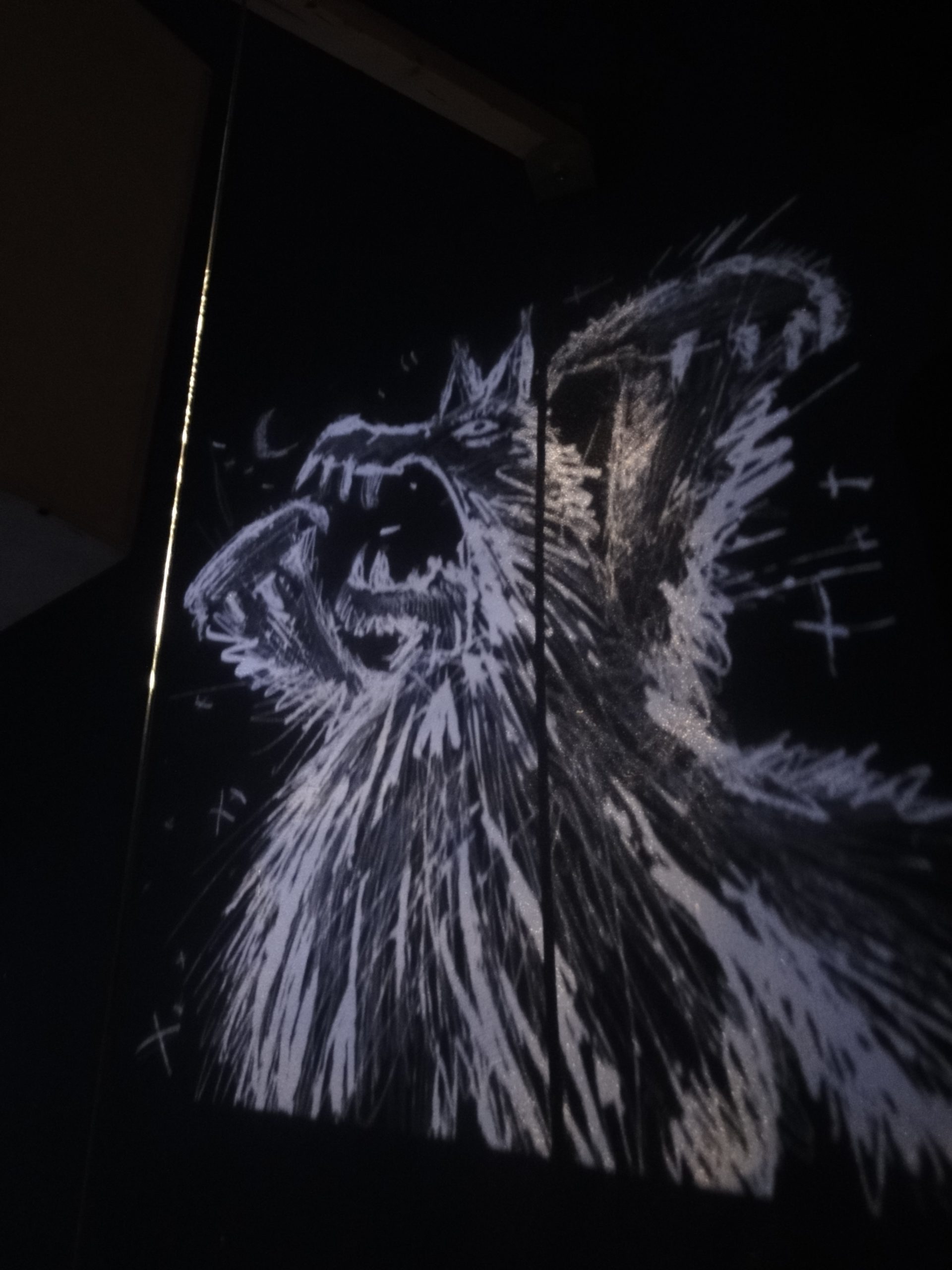 Boîtes lumineuses projetant des ombres de contes du loup au Musée d’Entracque